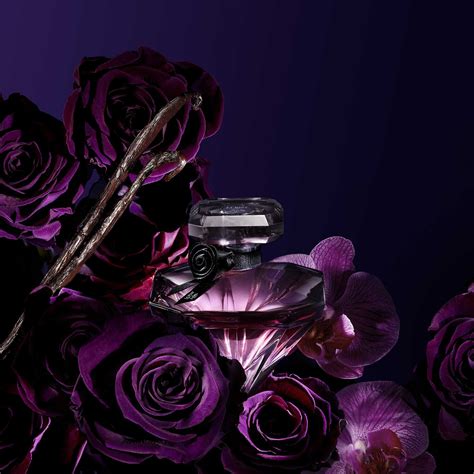 la nuit tresor eau de toilette fragrantica|La Nuit Trésor Lancôme pour femme .